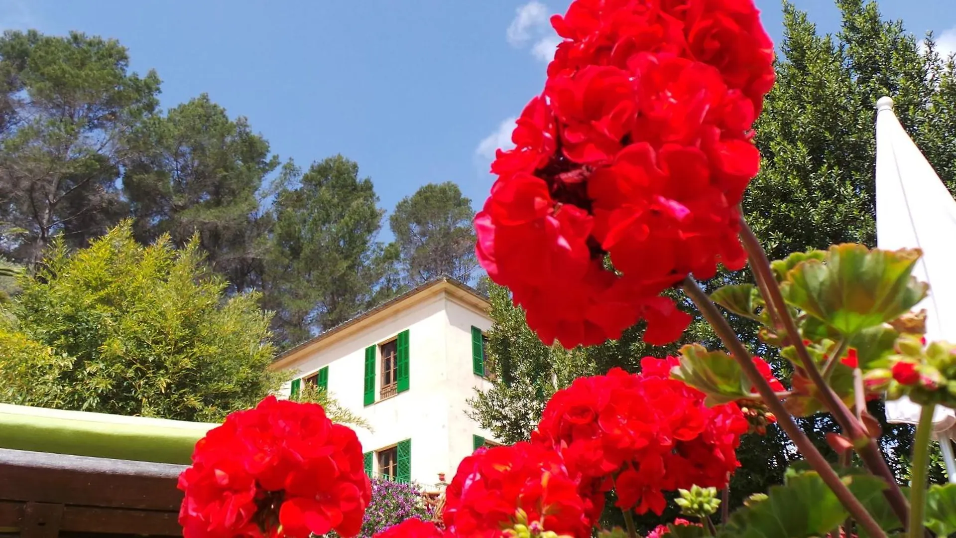 Agroturisme Finca Sa Maniga Bunyola
